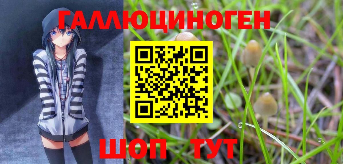 где можно купить наркотик  Вход с VPN  Златоуст  Галлюциногенные грибы прущие грибы 